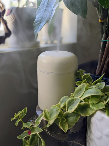 Mini  Portable, USB, Car, Rv, Plants, Room, Office Air Humidifier Essential Oil Aroma Diffuser with Night Light