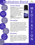 Meditation Essential Oil Blend by Plant Therapy
