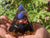 Lapis Lazuli Obsidian Transformation & Growth Orgone Pyramid - Something U Luv