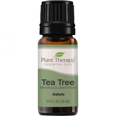 Essential Oil - Tea Tree Essential Oil By Plant Therapy